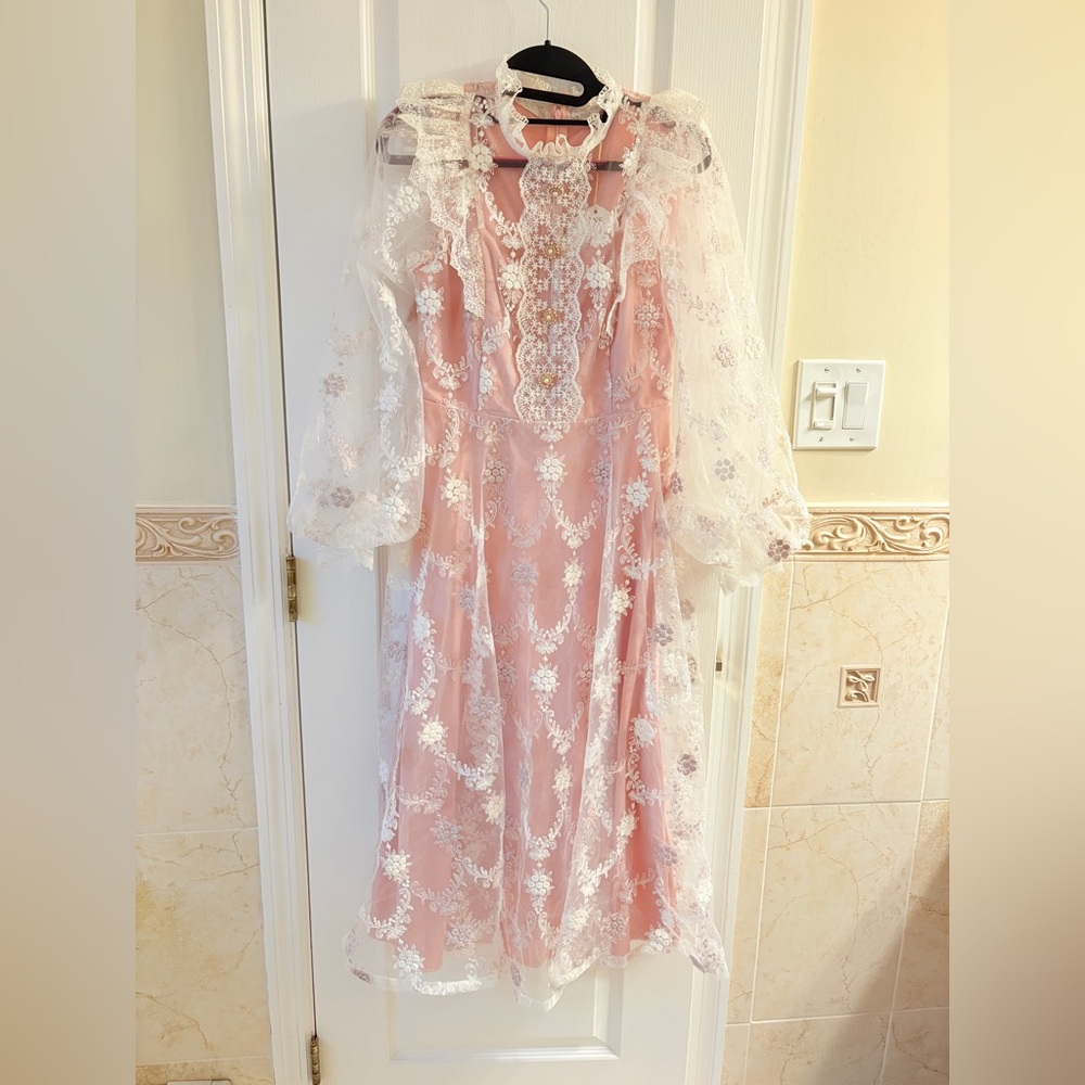 Dusty Pink Lace Embroidered Maxi Dress with Long Sleeves